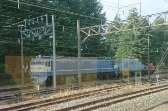 ＪＲ EF65-500番台 EF65-535 鉄道フォト・写真 by 6263efさん ：2021年11月19日00時ごろ