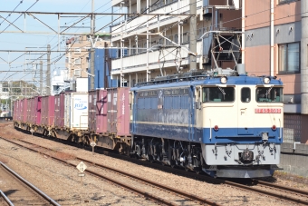 ＪＲ貨物 国鉄EF65形電気機関車 EF65-2080 鉄道フォト・写真 by 6263efさん ：2021年11月19日11時ごろ