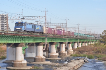 JR貨物EH200形電気機関車 EH200-5 鉄道フォト・写真 by 6263efさん 日野駅 (東京都)：2021年11月19日09時ごろ