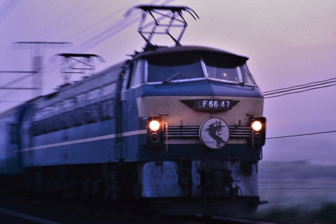 鉄道フォト・写真：JR西日本 国鉄EF66形電気機関車 はやぶさ EF66-47 関ケ原 鉄道フォト・写真 by トミーさん - 撮影日 1996/06/11 04:30