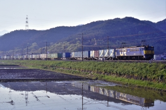 JR貨物 国鉄EF65形電気機関車 EF651059 鉄道フォト・写真 by トミーさん ：1997年04月27日06時ごろ