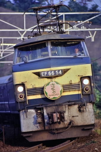 JR西日本 国鉄EF66形電気機関車 さくら(特急) EF66-54 鉄道フォト・写真 by トミーさん ：1997年07月21日06時ごろ