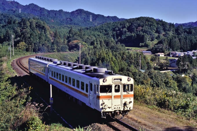 カズキ様 JR東海 国鉄キハ58系気動車 かすが 加太-柘植 鉄道フォト・写真 by