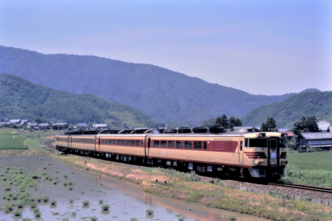 JR西日本 国鉄キハ181系気動車 急行マリンわかさ 東美浜 鉄道フォト