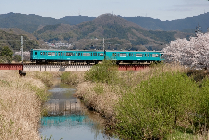 JR西日本 国鉄105系電車 鉄道フォト・写真 by トミーさん ：2015年04月02日13時ごろ
