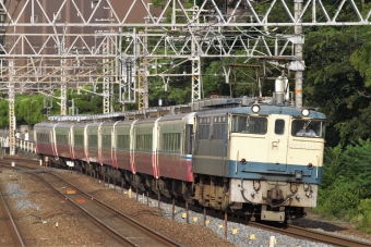 JR西日本 EF65 1000 ムーンライト九州(快速) EF65 1130 鉄道フォト・写真 by トミーさん ：2006年08月20日07時ごろ