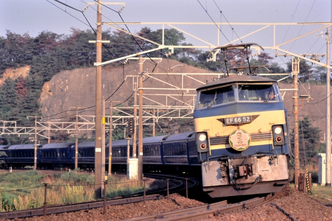 JR西日本 国鉄EF66形電気機関車 さくら EF66-52 鉄道フォト・写真 by トミーさん ：1899年12月31日06時ごろ