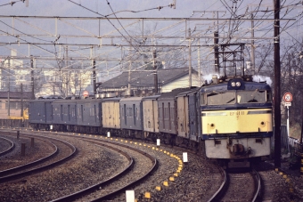 国鉄EF61形電気機関車 EF61-11 鉄道フォト・写真 by トミーさん ：1980年03月01日00時ごろ