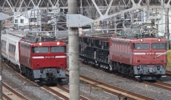 JR東日本 EF81 EF81-81 鉄道フォト・写真 by ロクさんさん ：2023年10月25日10時ごろ