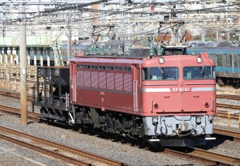 JR東日本 国鉄EF81形電気機関車 EF81-81 鉄道フォト・写真 by ロクさんさん 南浦和駅：2023年12月13日10時ごろ