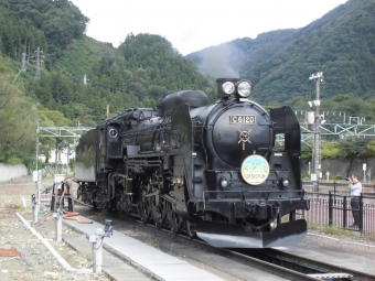 JR東日本 C61形 SLレトロ水上 C61 20 鉄道フォト・写真 by もふもふさん 水上駅：2018年09月17日13時ごろ