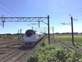 JR東日本E657系電車 クハE657形(Tc) ときわ(特急) 鉄道フォト・写真 by もふもふさん 高浜駅 (茨城県)：2021年09月19日13時ごろ