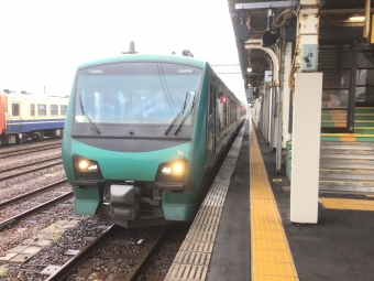JR東日本 HB-E301形 リゾートしらかみ(快速) HB-E301-5 鉄道フォト・写真 by もふもふさん 東能代駅：2022年05月14日09時ごろ