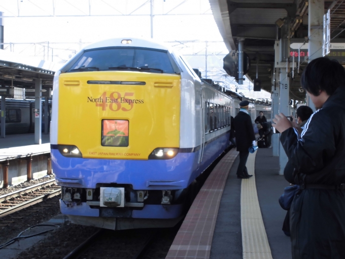 JR東日本 国鉄485系電車 白鳥 函館駅 鉄道フォト・写真 by もふもふ