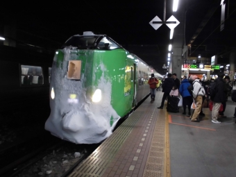 JR北海道789系電車 ライラック(特急) 鉄道フォト・写真 by もふもふさん 札幌駅：2019年02月04日16時ごろ