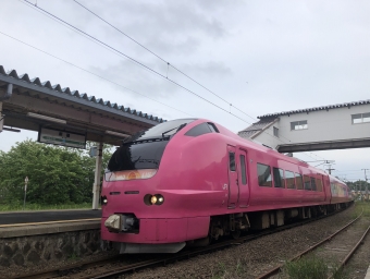 JR東日本 いなほ E653 鉄道フォト・写真 by NOA☆さん 新屋駅 (秋田県)：2021年05月31日16時ごろ