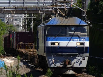 JR貨物 EF210形 EF210-118 鉄道フォト・写真 by 特別快速さん 東所沢駅：2021年09月19日12時ごろ
