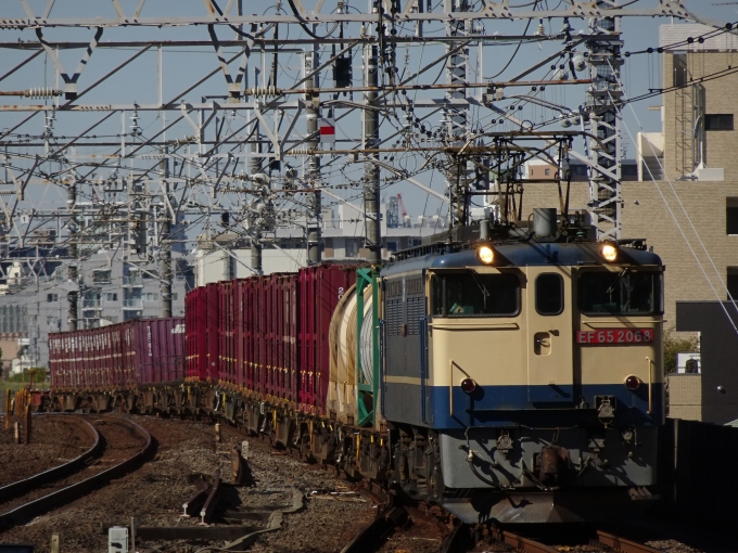 EF65-2068 国鉄EF65形電気機関車 鉄道フォト・写真 by 特別快速さん 市川駅：2021年11月13日12時ごろ