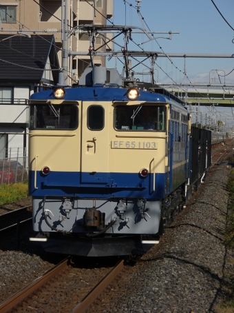 JR東日本 国鉄EF65形電気機関車 EF65 1103 鉄道フォト・写真 by 特別快速さん 新白岡駅：2021年11月24日10時ごろ