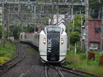 JR東日本 クロE259形 クロE259-6 鉄道フォト・写真 by 特別快速さん 鎌倉駅 (JR)：2021年06月06日11時ごろ