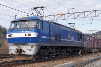 JR貨物 EF210形 EF210-7 鉄道フォト・写真 by タケぼーさん 上郡駅 (JR)：2024年01月27日09時ごろ