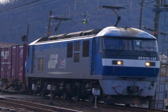 JR貨物 EF210形 EF210-137 鉄道フォト・写真 by タケぼーさん 上郡駅 (JR)：2024年01月27日09時ごろ