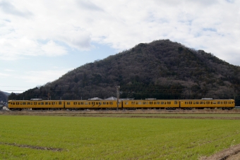 JR西日本 国鉄115系電車 鉄道フォト・写真 by タケぼーさん 上郡駅 (JR)：2024年01月27日10時ごろ