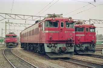 JR東日本 国鉄EF71形電気機関車 EF71 11 鉄道フォト・写真 by こめさん ：1990年08月08日15時ごろ