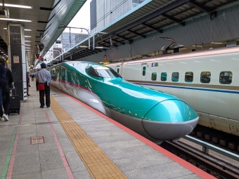 JR東日本 E5系新幹線電車 鉄道フォト・写真 by こめさん 東京駅 (JR)：2021年10月12日10時ごろ