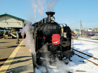 JR北海道 C11 171 (C11形) 車両ガイド | レイルラボ(RailLab)