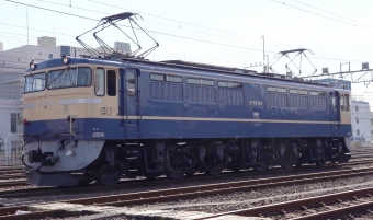 JR東日本 国鉄EF65形電気機関車 EF65 501 鉄道フォト・写真 by taka1129さん 新小岩駅：2021年02月13日13時ごろ