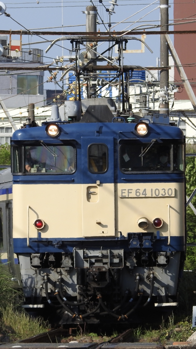 JR東日本 国鉄EF64形電気機関車 EF64-1030 鉄道フォト・写真 by YHMさん 大船駅 (JR)：2020年06月08日16時ごろ