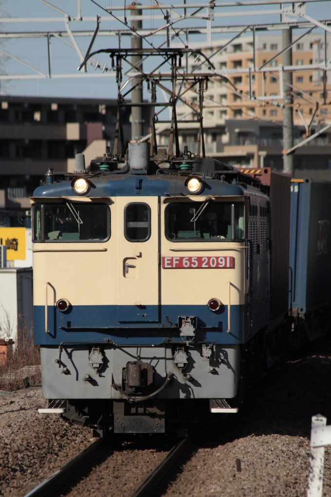 JR貨物 国鉄EF65形電気機関車 EF65-2091 鉄道フォト・写真 by YHMさん 八丁畷駅 (JR)：2021年12月22日09時ごろ