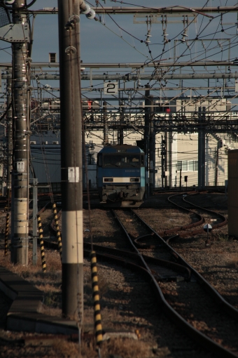 JR貨物 EH200形 EH200-12 鉄道フォト・写真 by YHMさん 八王子駅：2021年12月22日15時ごろ
