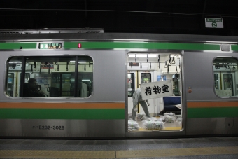 JR東日本 クハE232形 クハE232-3029 鉄道フォト・写真 by YHMさん 上野駅 (JR)：2020年10月17日13時ごろ