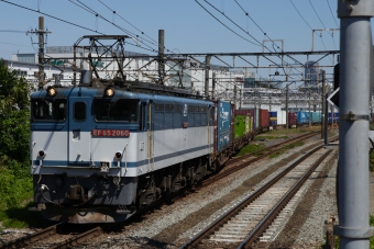 JR貨物 国鉄EF65形電気機関車 EF65-2060 鉄道フォト・写真 by YHMさん 新川崎駅：2022年05月28日09時ごろ