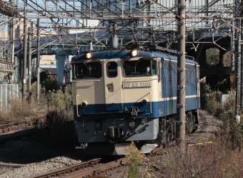 JR貨物 国鉄EF65形電気機関車 EF65-2101 鉄道フォト・写真 by YHMさん 浜川崎駅：2020年11月23日12時ごろ