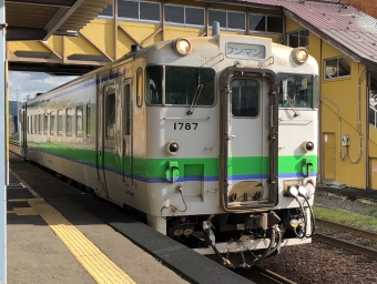 JR北海道 キハ40形 キハ40 1787 鉄道フォト・写真 by J MAYさん 富良野駅：2021年05月25日15時ごろ
