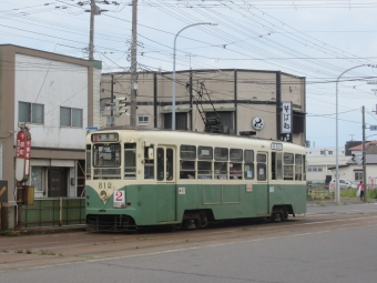 函館市企業局交通部 函館市電800形 812 鉄道フォト・写真 by TS鉄さん 千歳町停留場 (北海道)：2024年06月30日13時ごろ