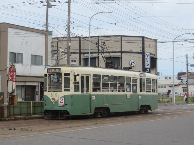 鉄道フォト・写真：函館市企業局交通部 函館市交通局800形電車 812 千歳町停留場 (北海道) 鉄道フォト・写真 by TS鉄さん - 撮影日 2024/06/30 13:15