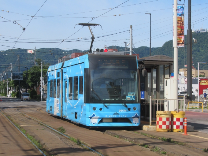 鉄道フォト・写真：函館市企業局交通部 函館市交通局9600形電車 9601B 松風町停留場 鉄道フォト・写真 by TS鉄さん - 撮影日 2024/06/30 08:05