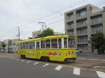 函館市企業局交通部 函館市電710形 719 鉄道フォト・写真 by TS鉄さん 千代台停留場：2024年06月30日13時ごろ