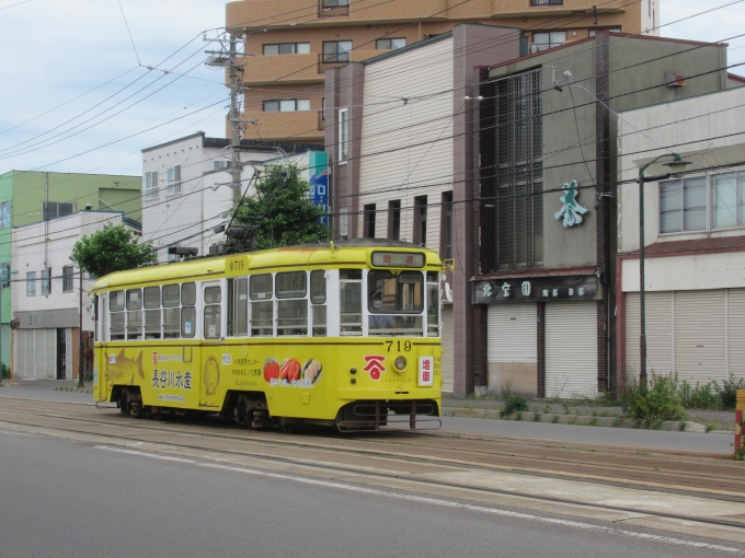 鉄道フォト・写真：函館市企業局交通部 函館市交通局710形電車 719 堀川町停留場 鉄道フォト・写真 by TS鉄さん - 撮影日 2024/06/30 14:18