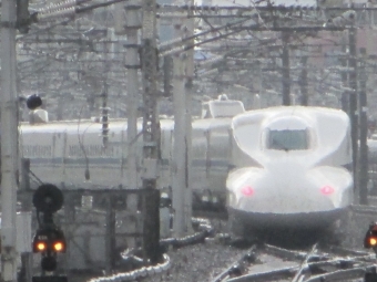 JR N700系新幹線電車 784形(T'c) 鉄道フォト・写真 by Aץameさん 東京駅 (JR)：2014年08月26日16時ごろ