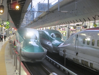 JR東日本 E5系新幹線電車 E514形(Tsc) 鉄道フォト・写真 by Aץameさん 東京駅 (JR)：2021年08月12日18時ごろ