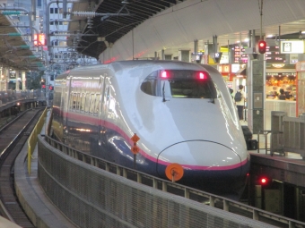 JR東日本 E224形(T2c) やまびこ(新幹線) E224-1103 鉄道フォト・写真 by Aץameさん 東京駅 (JR)：2021年08月12日18時ごろ