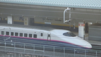 JR東日本 E2系新幹線電車 E223形(T1c) 鉄道フォト・写真 by Aץameさん 東京駅 (JR)：2014年12月27日15時ごろ