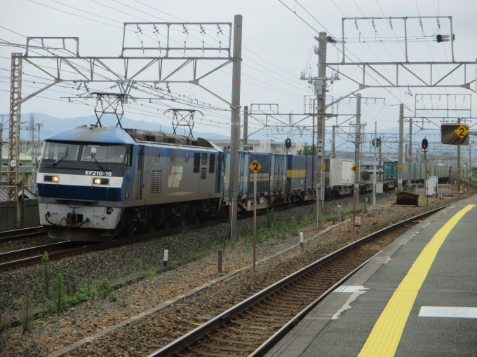 鉄道フォト・写真：JR貨物EF210形電気機関車 EF210-16 下地駅 鉄道フォト・写真 by Aץameさん - 撮影日 2020/07/24 15:18