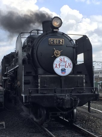 JR西日本 C61形 SLスチーム号 C61 2 鉄道フォト・写真 by Aץameさん 京都駅 (JR)：2017年03月28日14時ごろ