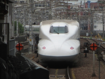 JR東海 783形(Tc) 783-2006 鉄道フォト・写真 by Aץameさん 名古屋駅 (JR)：2019年07月15日12時ごろ